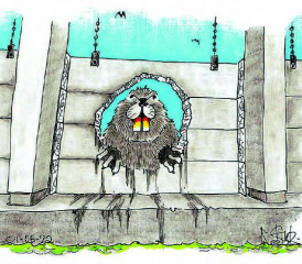 Der Biber in der Wyna: Sein Besuch konnte die Sagi-Mannschaft nicht aus der Ruhe bringen. (Bild: Kari Stutz)