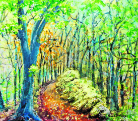 Farbenspiel um Buche «Emanuel» … Seeweg Müseigen, Böju
Aquarell u Mt 30x50cm a PaLw, 2025. Gemäldebild und Text von Alberto Romer, Beinwil am See