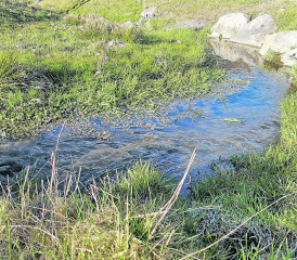 Der Rickenbach – ein Bestandteil der Siedlungsentwässerung, deren überarbeitetes Regelement spätestens in einem Jahr vorliegen soll. (Bilder: zVg.)