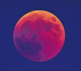 Bild: Andreas Walker