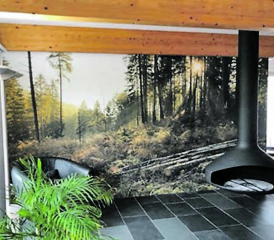 Ob ein Herbstwald, eine Winterlandschaft oder eine Frühlingswiese: Tapeten-Motive gibt es fast ohne Grenzen. (Bild: zVg.)