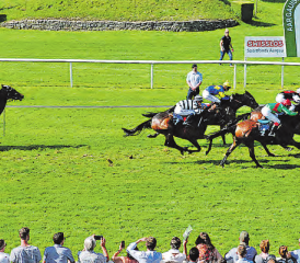 Knapper Entscheid im Flachrennen über 2600m: Simple Affaire und Adelina lieferten sich ein Kopf-an-Kopf-Rennen auf den letzten Metern. (Bilder: aw.)