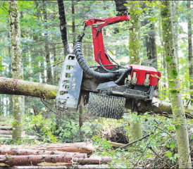 Der Vollernter Harvester Komatsu 951XC im Einsatz.