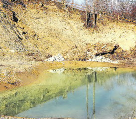 Gontenschwiler Steiniggrube: Als Kompensation für die Einzonung des Mättenfelds als Industriezone ist hier ein attraktiver Lebensraum und ein Weiher für Amphibien, Reptilien, Schmetterlinge, Wildbienen und vieles mehr entstanden- (Bilder: zVg.)