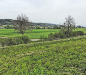Ein Blick in die Talebene zwischen Kirchleerau und Schöftland: Im Gebiet auf Staffelbacher Boden soll bei einem Jahrhundertereignis das Wasser vor den besiedelten Räumen zurückgehalten werden. (Bild: Remo Conoci)