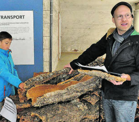 Pascal Nater mit einem Stück Rinde der Korkeiche, wie sie hier in Dürrenäsch verarbeitet worden ist. (Bilder: hg.)