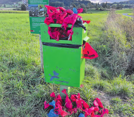 So präsentierte sich am Freitagabend ein Robidog, der seine Belastungsgrenze erreichte. (Bild: dr.)