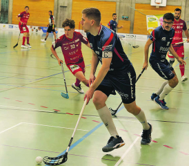 Lok-Captain Tomas Vojtisek und seinem Team fehlten in beiden Spielen das Wettkampfglück. (Bild: Roland Jaus)