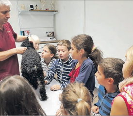 Spannende Eindrücke und bleibende Erlebnisse boten die verschiedenen Angebote im Rahmen des Ferien(s)passes Menziken-Burg. (Bild: zVg.)