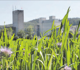 Informationsanlass Hegmatte/Mühleareal – Anmeldung erforderlich! Dieser findet m Samstag, 5. September 2020 von 10 bis 12 Uhr (und eventuell zusätzlich von 13 bis 15 Uhr) in der Dreifachturnhalle statt. (Bild: rc.)