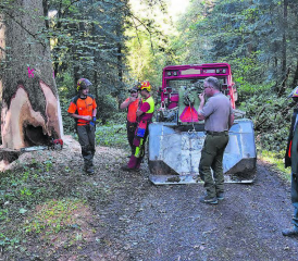 Letzte Vorbereitungen vor dem Fällen: Die Fallrichtung liegt fest, das Team berät, welche Sicherheitsvorkehrungen noch zu treffen sind. (Bilder: aw.)