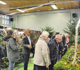 Der Verein für Pilzkunde Wynental freute sich über das grosse Interesse aus der Region. (Bilder: jaf.)