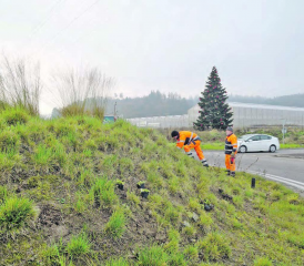 Über 100 Stauden werden gepflanzt: Seit November 2020, exakt 17 Jahre nach seiner Entstehung, wird der Kreisel Riggenbach aufgewertet. (Bild: zVg.)
