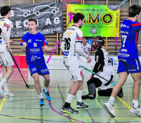 Reinacher Torjubel in Spiel 2 der Best-Of-Five-Serie in der eigenen Halle – in beiden Spielen gewann jedoch jeweils das Auswärtsteam, die Serie damit ausgeglichen. (Bild: Roland Wick)