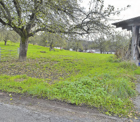 Land in der Mairüti: Die Zetzwiler Stimmbürger wollen die Parzellen in der Bauzone behalten. (Bilder: wr)
