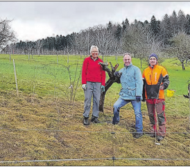 In der Obstplantage von Fritz Walti in der Stalten Dürrenäsch kann der Neuntöter seit einigen Jahren beobachtet werden. (Bild: Marco Stadler)