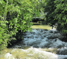 Die Wyna eine Woche nach dem Hochwasser: Der Pegel befindet sich nicht nur bei der Messstation in Reinach wieder auf Durchschnittswerten. (Bilder: mars.)