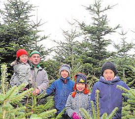 Weihnachtsbäume bei Bedarf nach Hause geliefert: Harley Werffeli von Werffeli Gartenbau, Gontenschwil mit seiner Jungmannschaft inmitten der Plantage. (Bild: zVg.)