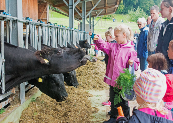 Gränichen: Liebeggertag verbunden mit dem «Erzähltal» (Bild: el.)