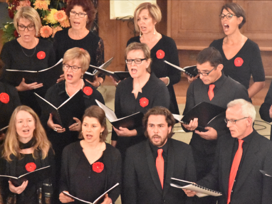 Der Gospelchor The Tune Ups (Bild: hg.)