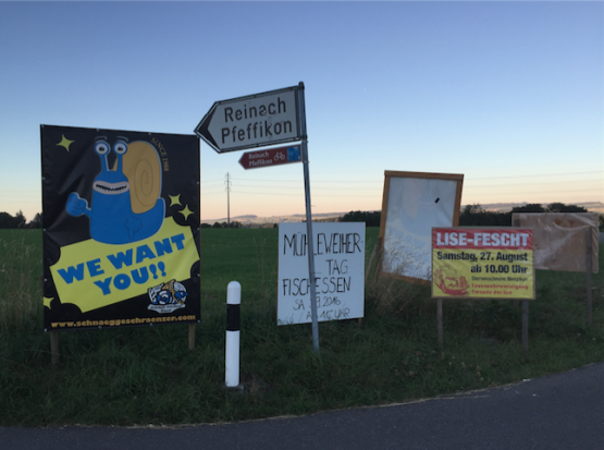 Kleiner Schilderwald ob Menziken/Burg (Bild: Remo Conoci)