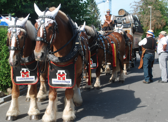 Feier im und um den Gasthof Löwen Meisterschwanden (Bild: hh.)