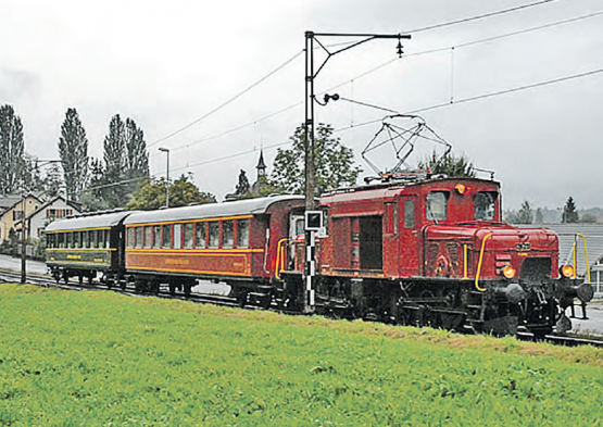 Seetalkrokodil (Bild: WB-Archiv)