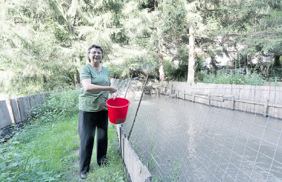 Eingebettet in lauschiger Umgebung: Susanne Flückiger bei der Fütterung der Forellen, bei einem der neunWeiher.Ihre Zucht hat das Unwetter fast schadlos überlebt. (Bild: rc.)