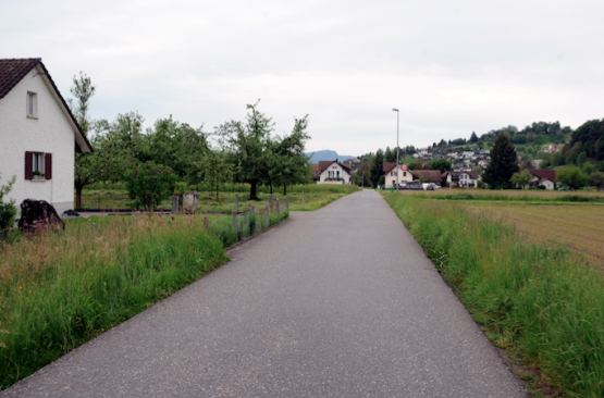 Beliebte Schleichstrecke: Löst Tempo 30 das Problem? (Bild: Martin Sommerhalder)