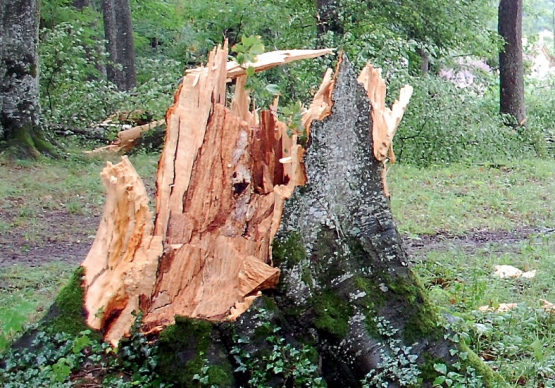 Unwetterschäden (Bild: WB)