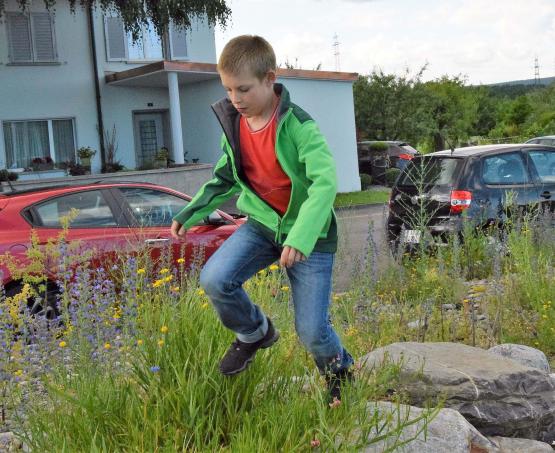 Regt Kinder dazu an, sich im Wildbienenparadies pudelwohl zu fühlen.