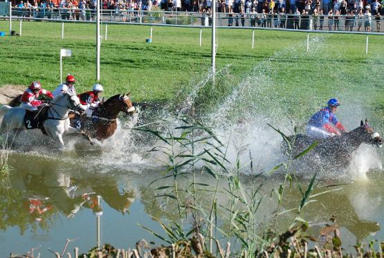 Durchquerung des Cross Teichs