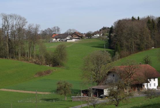 Das Ruedertal mit all seinen Schönheiten zu Fuss erleben!