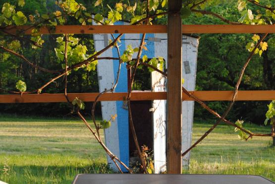 Statt öffentlich zu verbrennen wurde die Hütte restauriert – aufgrund ihrer interessanten Geschichte