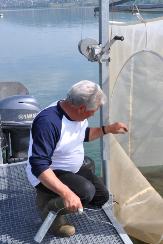 Fischer Heinz Weber (Bild: msu.)