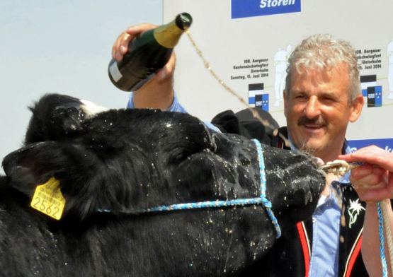 Harry Knüsel, Schwingerkönig von 1986 tauft Holstein-Zuchtstier (links)