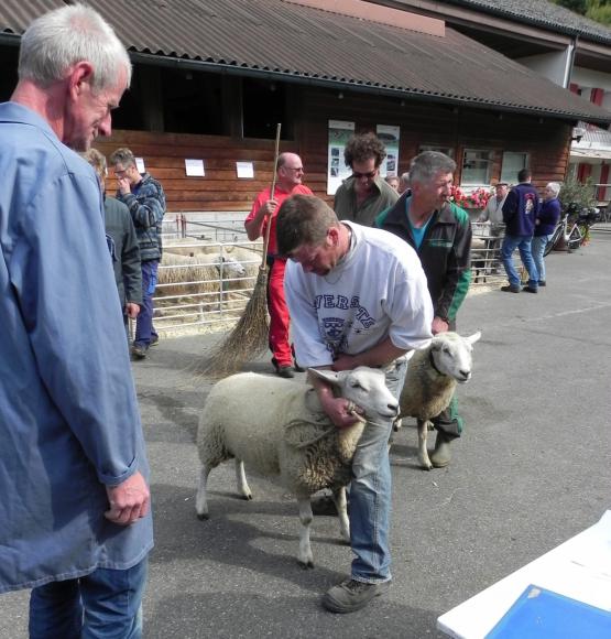 Bereit für die Beurteilung.