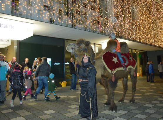 Unter dem "goldenen Vlies" der Bank Leerau zirkulierte am Dreikönigstag ein Kamel