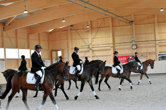 Pferdefest der Extraklasse: Der Reitverein Wynental feierte sein 125-jähriges Bestehen und die Einweihung der neuen Reithalle. (Bilder: zVg.)