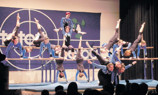 Turnerabend Birrwil (Bild: moha.)