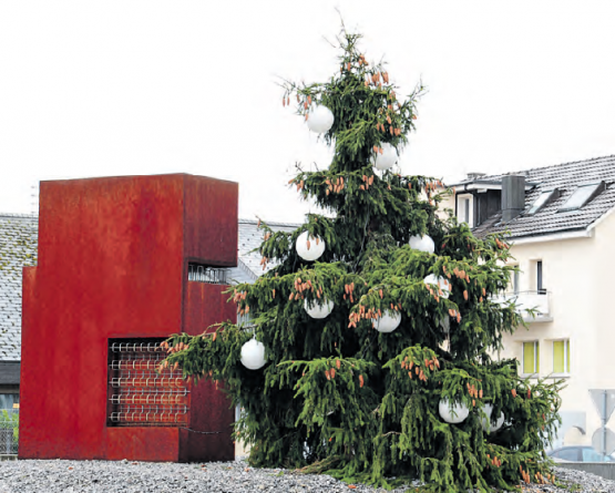 Weihnachtsbaum mit Gendefekt (Bild: msu.)