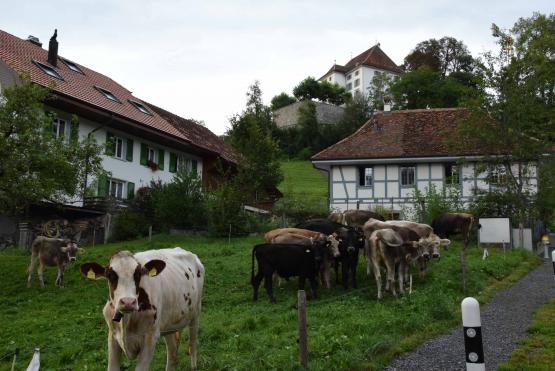 In dieser Idylle, im historischen "Tanzhüsli", startete das Erzähltal 2017