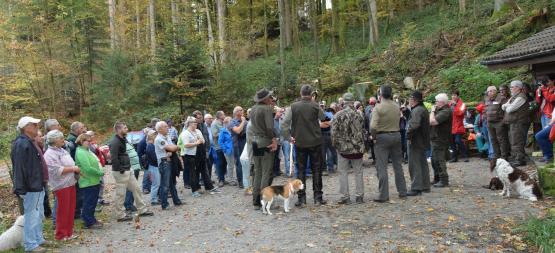 Dieses Bild beim "Wandersmann" dokumentiert den grossen Ansturm zum Waldumgang