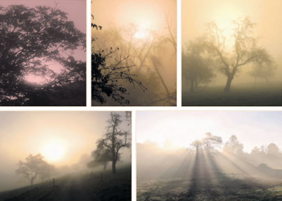 Herbstbilder von Herbert Müri