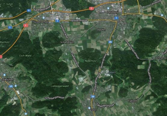 Verkehrsintensives Unteres Seetal (Bild: Google Maps)