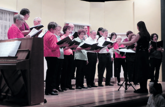 Der verstärkte Gemischte Chor Teufenthal (Bild: moha.)