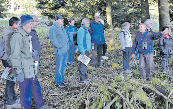 Mitten im Wald: Beat Eichenberger zeigt der Gruppe, wo ohne menschliches Zutun junge Tännchen wachsen. (Bild: be.)