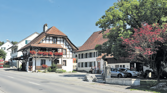 Tragen massgeblich zur Qualität des Dorfbildes bei: die strassenbegleitenden Hausvorplätze – wie hier der Schmittenplatz in Seengen. Zu diesen Trouvaillen gilt es Sorge zu tragen. (msu)