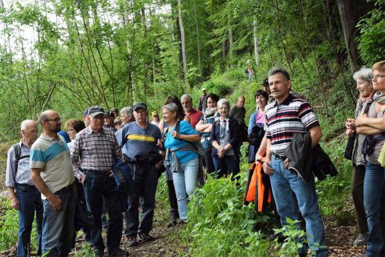 Aufmerksam lauschten die Waldgänger den Ausführungen von Förster Daniel Zehnder