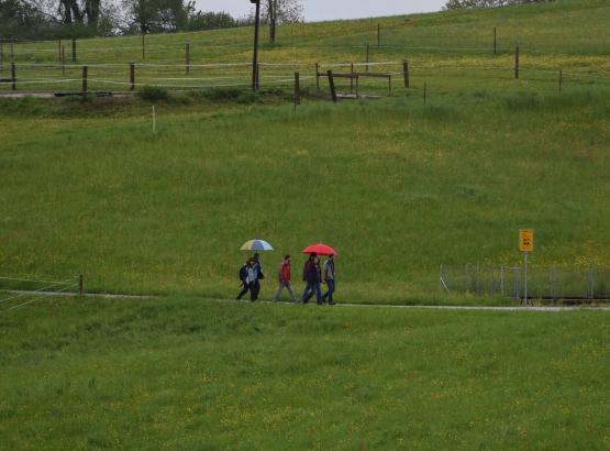 Ab und zu brauchte es auch Nachmittag noch den Schirm